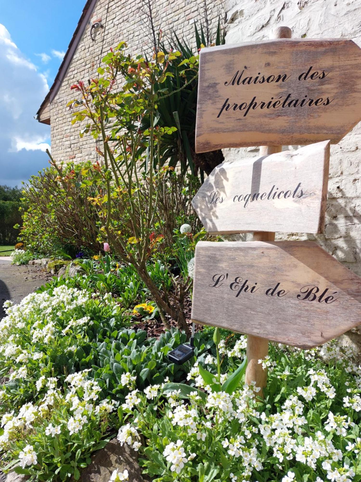 Les Coquelicots Villa Lacres Rum bild